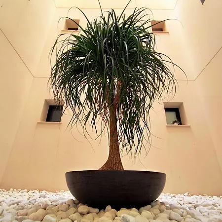 Apartment Elegante En Jardines De Montesolana